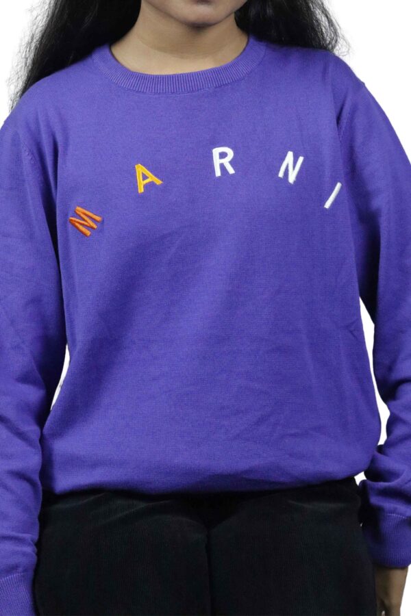 Long Sleeve Sweater (Purple)